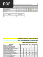 Carta Gannt Anual Dept. Prevencion de Riesgos