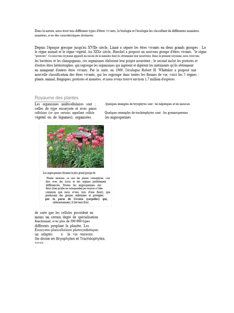 Classification des êtres vivants en 5 règnes | PDF | Plantes | Cellule ...