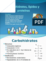 Carbohidratos Lipidos y Proteinas