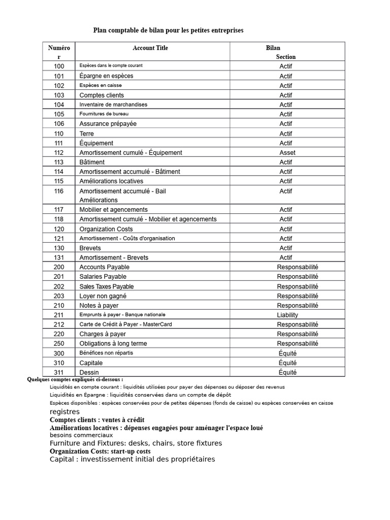 Plan comptable pour petites entreprises | PDF | Comptabilité | Bilan ...