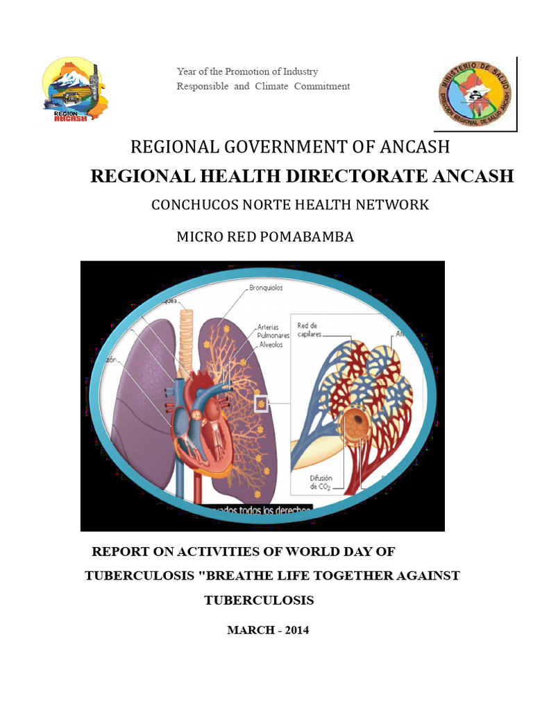 TB Report | PDF | Tuberculosis | Health Sciences