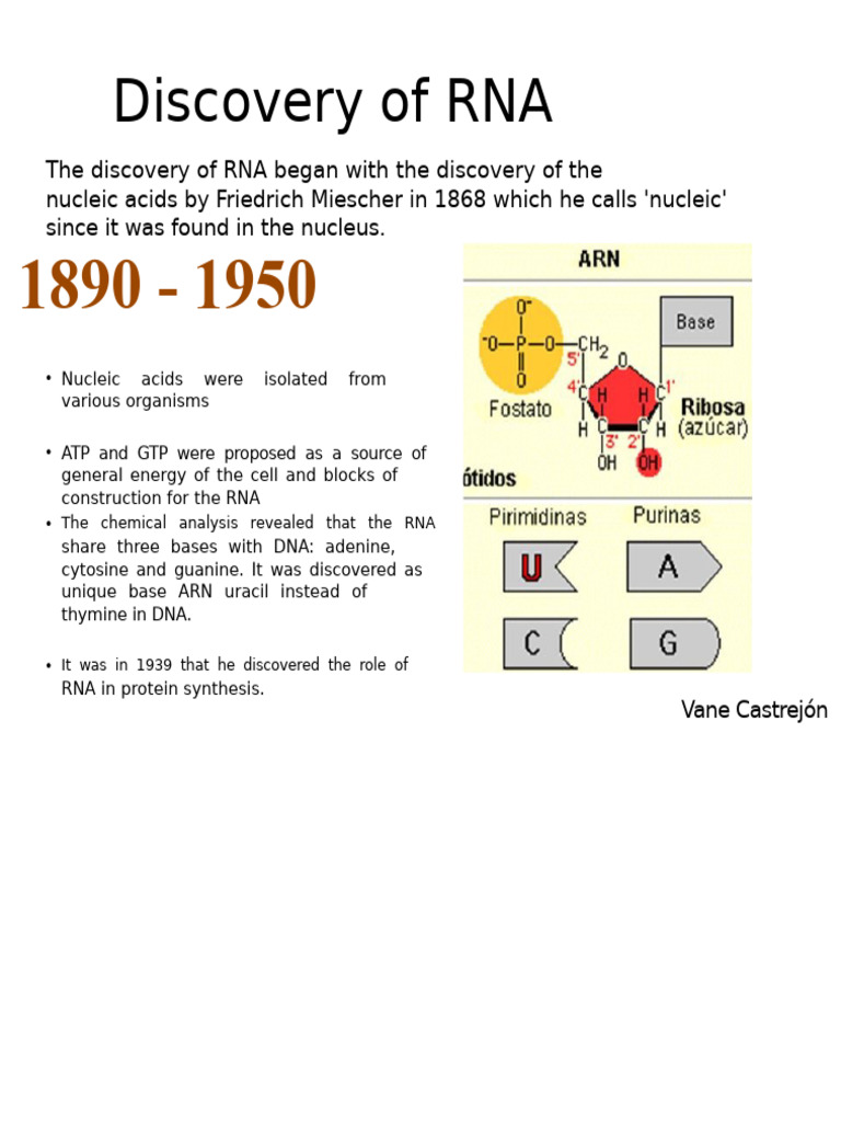 History of RNA Discovery and Research | PDF