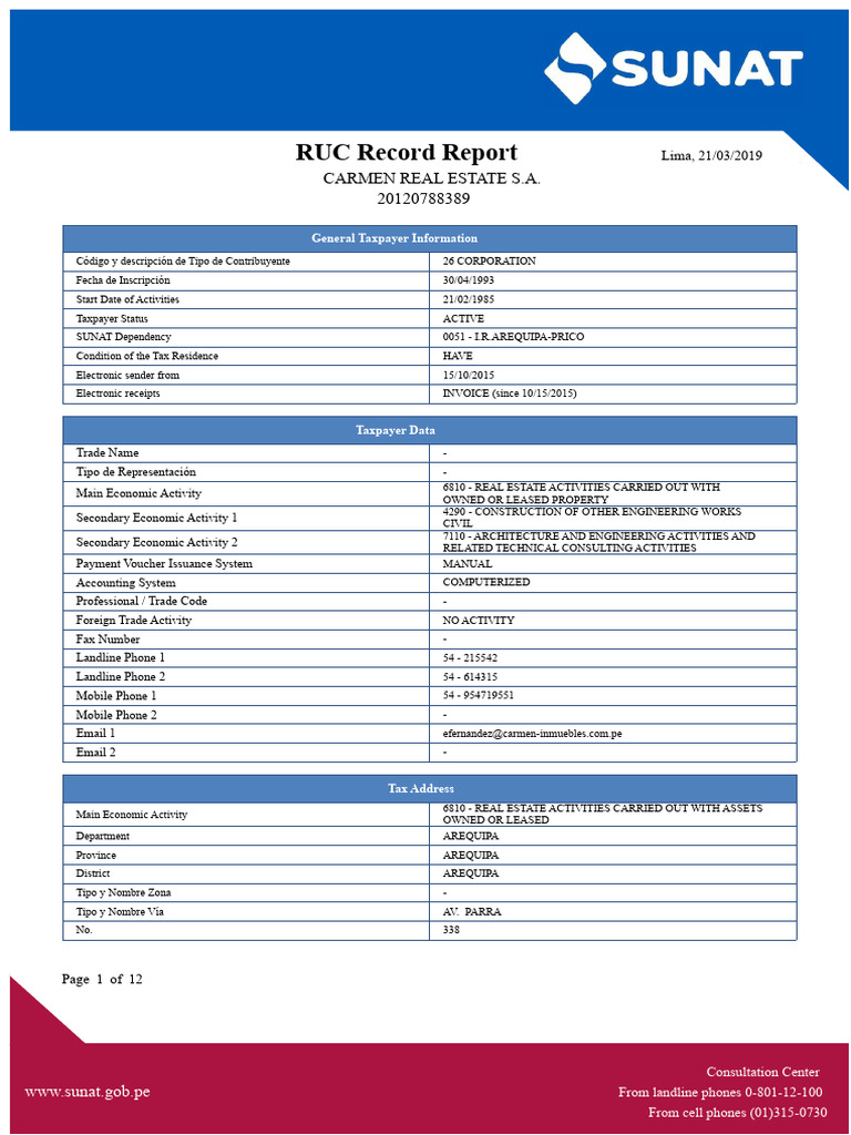 Carmen Real Estate RUC Report | PDF | Telecommunications