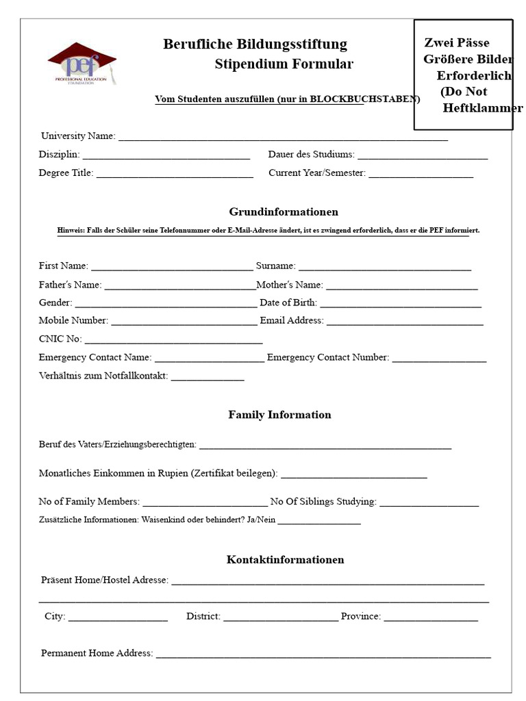 PEF Formular 2020 | PDF