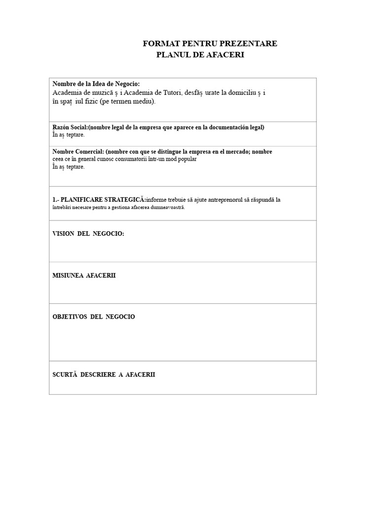 Ghid Despre Planul de Afaceri Word | PDF