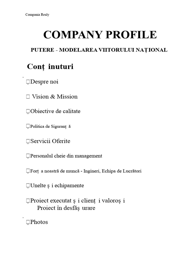 Profilul Companiei Infra Company | PDF