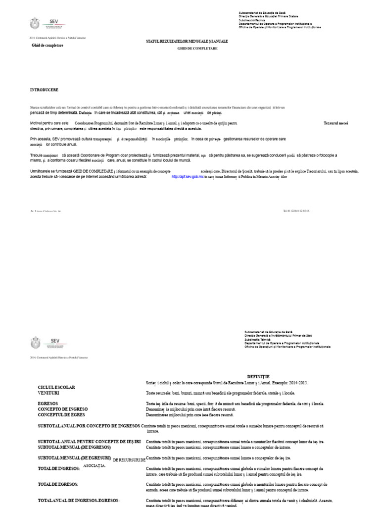 Format Pentru Raportare Apf | PDF