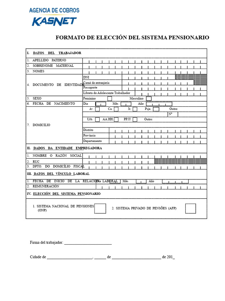Formato de Afiliacao AFP - ONP | PDF