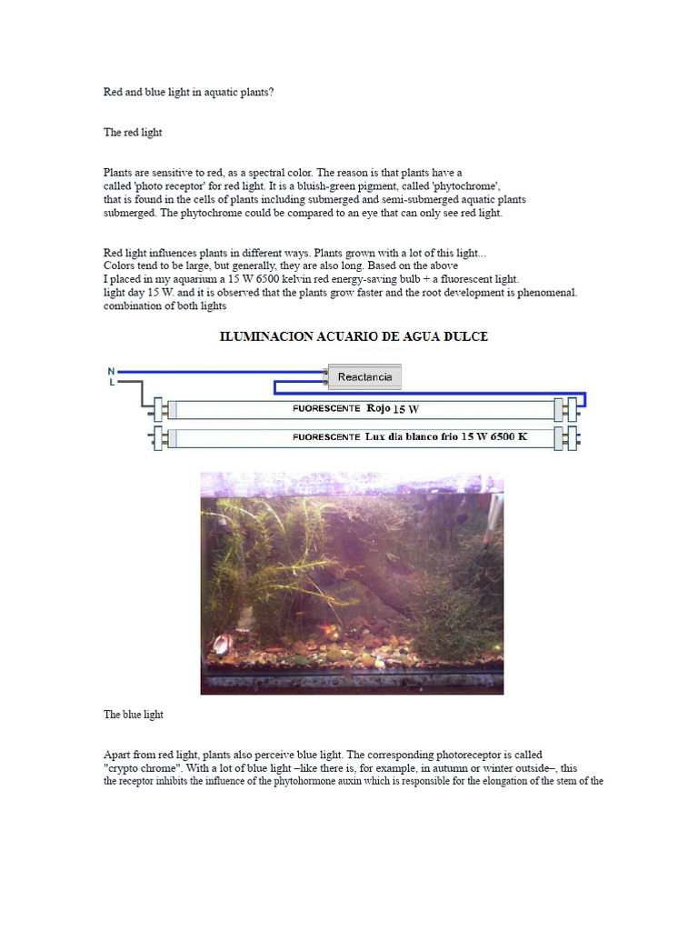 Effects of Red and Blue Light on Aquatic Plants | PDF | Botany ...
