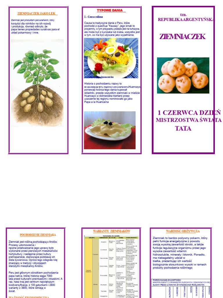 Triptik o PAPI 1 | PDF