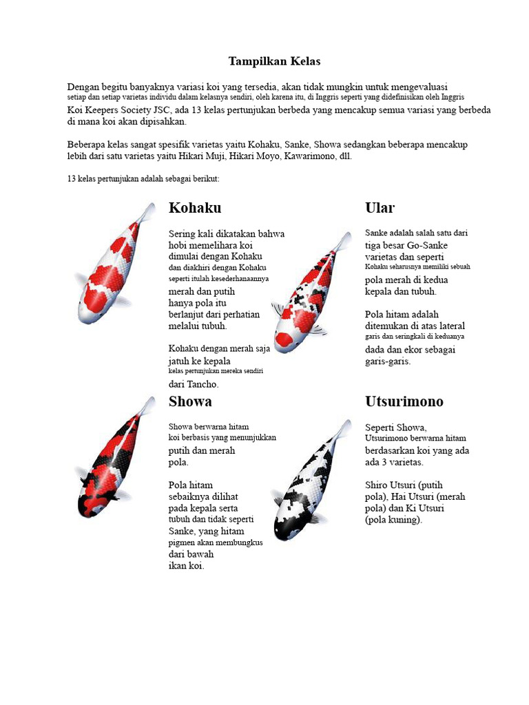13 Kelas Pertunjukan Koi di Inggris | PDF