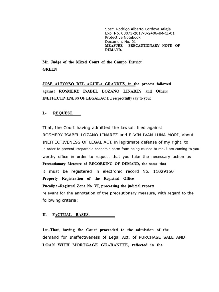 Precautionary Measure Request Summary | PDF | Lawsuit | Search And Seizure