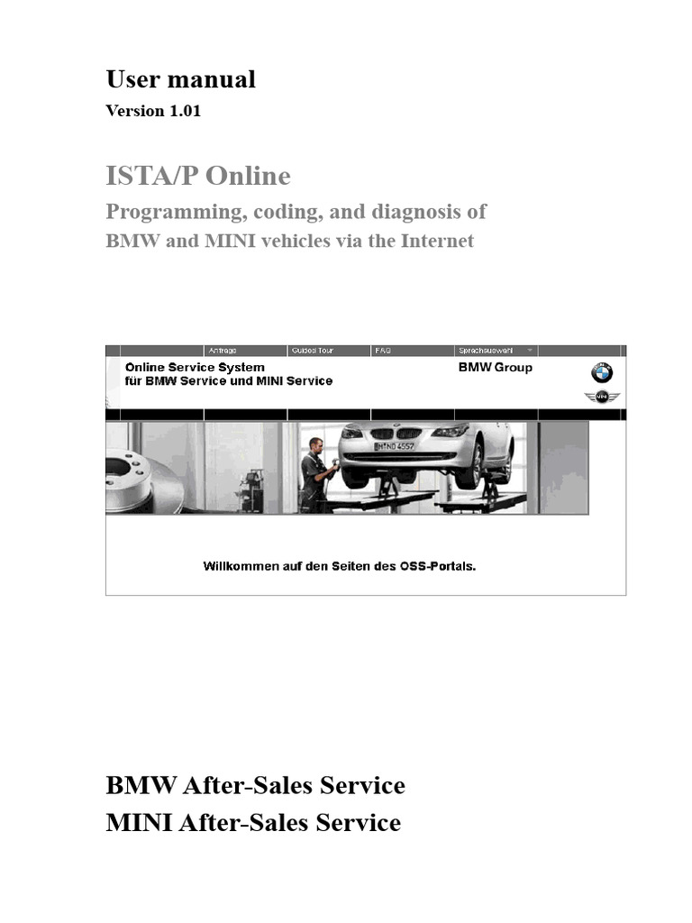 ISTA/P Online User Manual for BMW/MINI | PDF | User (Computing