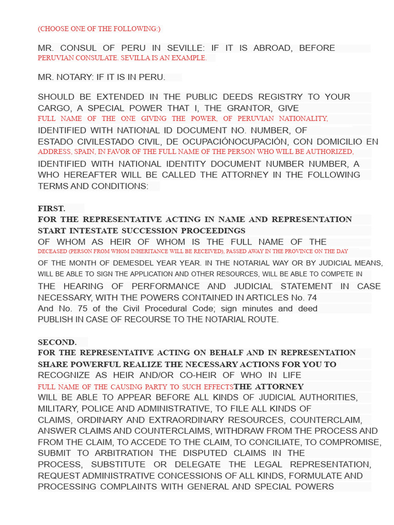 Intestate Succession Power of Attorney Model Notarial Peru | PDF ...