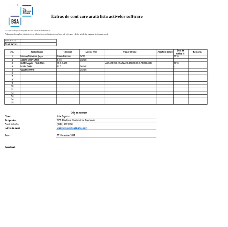 Formular de Inventar Software BSA | PDF