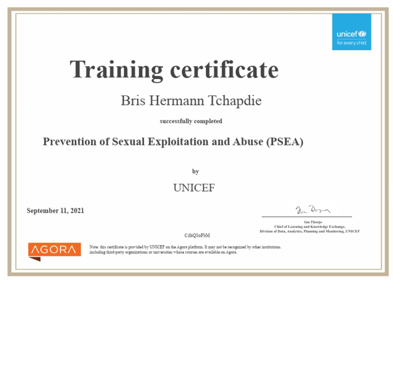 PSEA - EN - Training Certificate | PDF