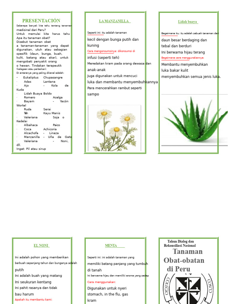 Tanaman Obat Peru: Manfaat dan Penggunaan | PDF