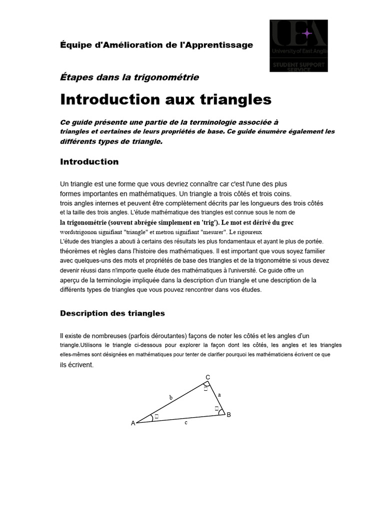 Guide sur les Triangles et Trigonométrie | PDF | Triangle | Fonction ...