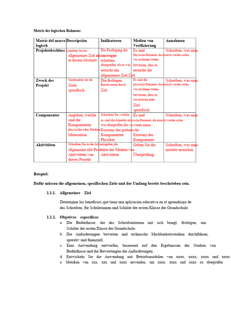 Beispiel Matrix Des Logischen Rahmens | PDF