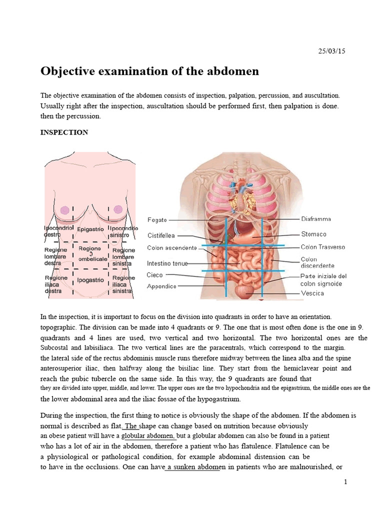 Abdominal Examination Techniques Explained | PDF | Abdomen | Indigestion