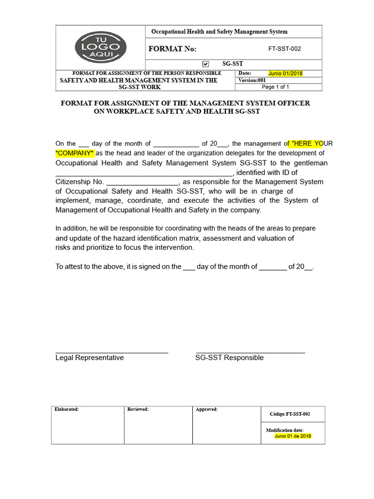 FT-SST-002 Responsible Assignment Format of The SG-SST | PDF