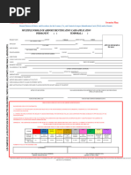 YVR RAIC Application Form Guide | PDF | Government
