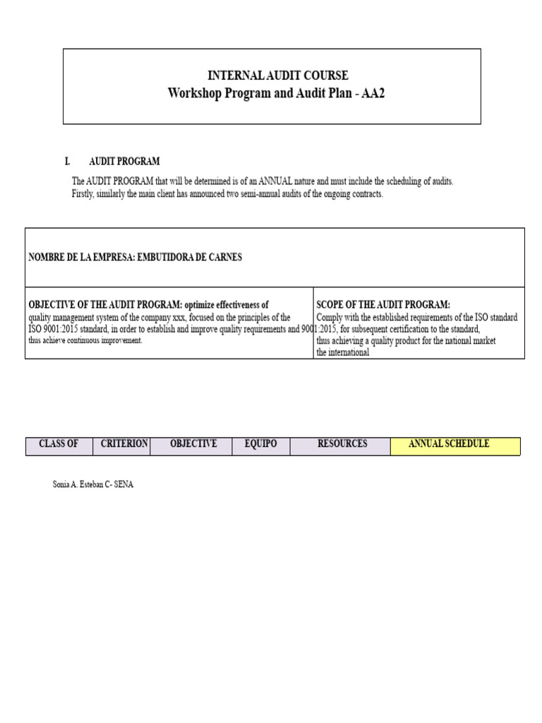 Annual Internal Audit Program ISO 9001 | PDF | Audit | Internal Audit