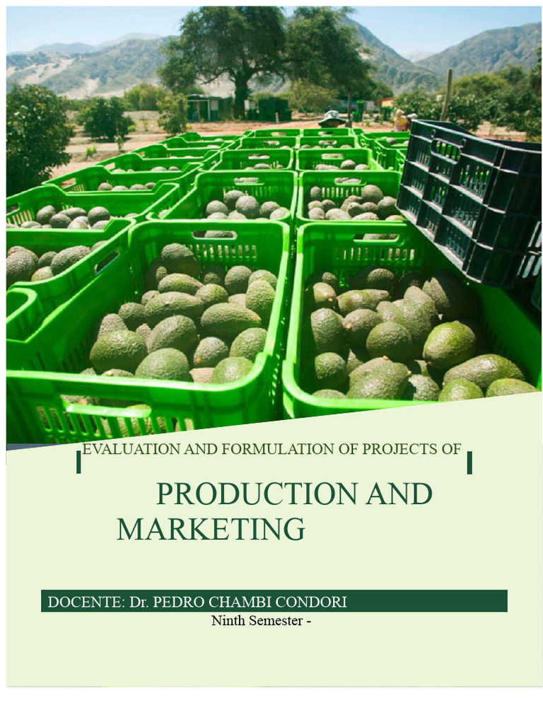 Hass Avocado Market Analysis Report | PDF | Avocado | Marketing
