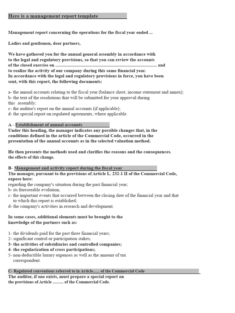 Annual Management Report Template | PDF | Dividend | Taxes
