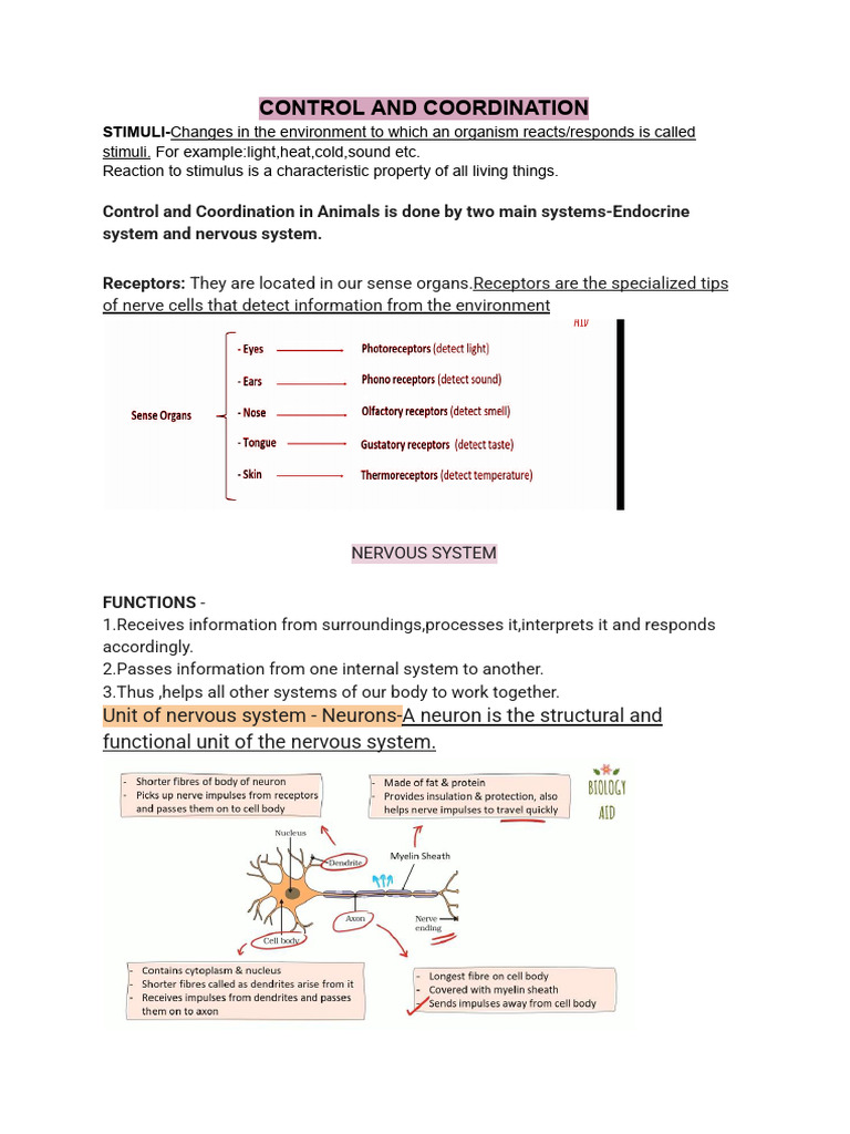 Control and Coordination in Animals and Plants | PDF | Neuron | Hormone