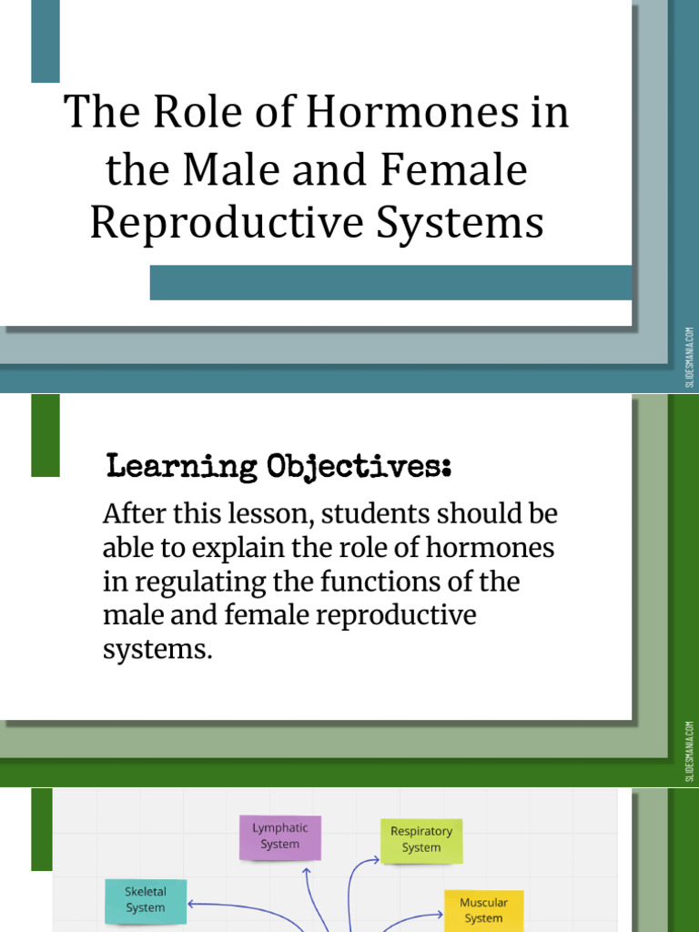 Roles of Hormones | PDF | Luteinizing Hormone | Menstrual Cycle
