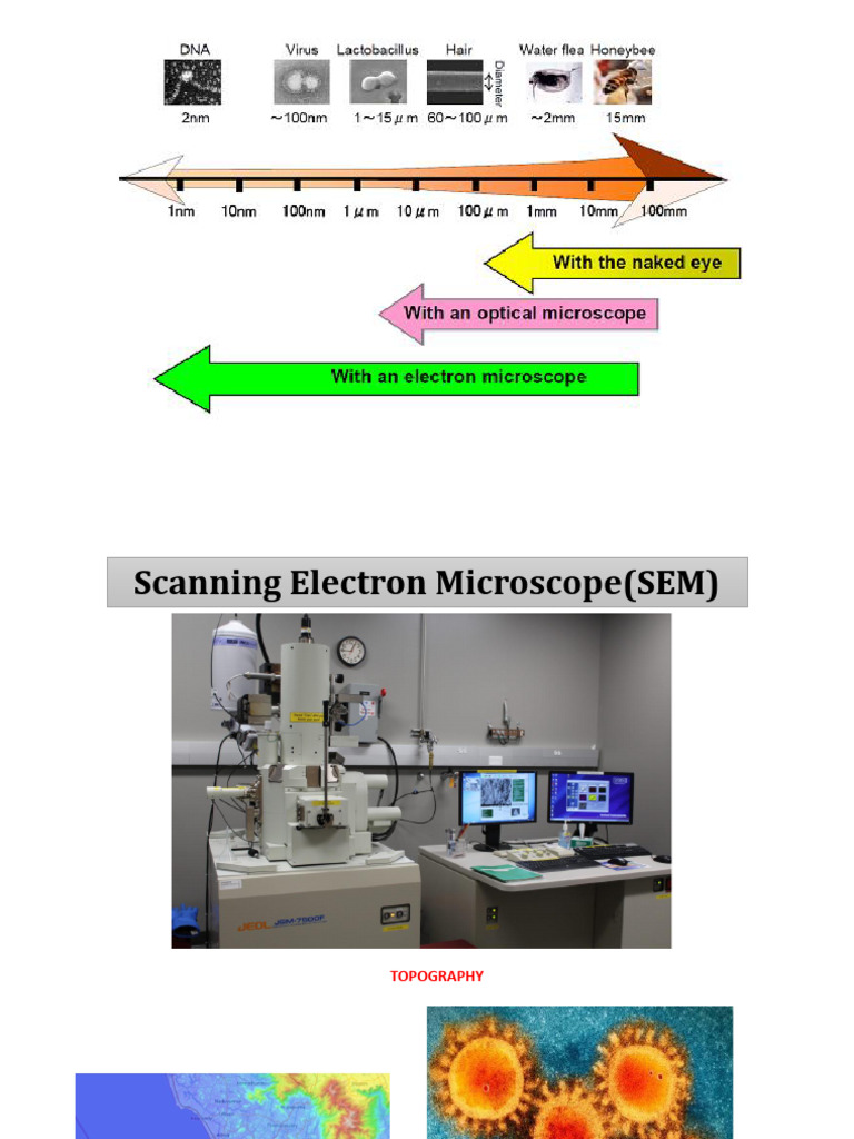 114 318 Sem | PDF | Scanning Electron Microscope | Electron