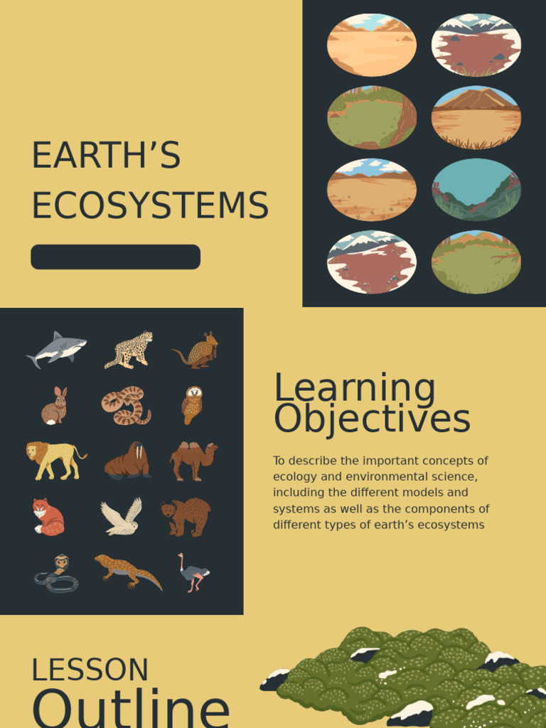 Understanding Earth's Ecosystems | PDF | Ecosystem | Forests