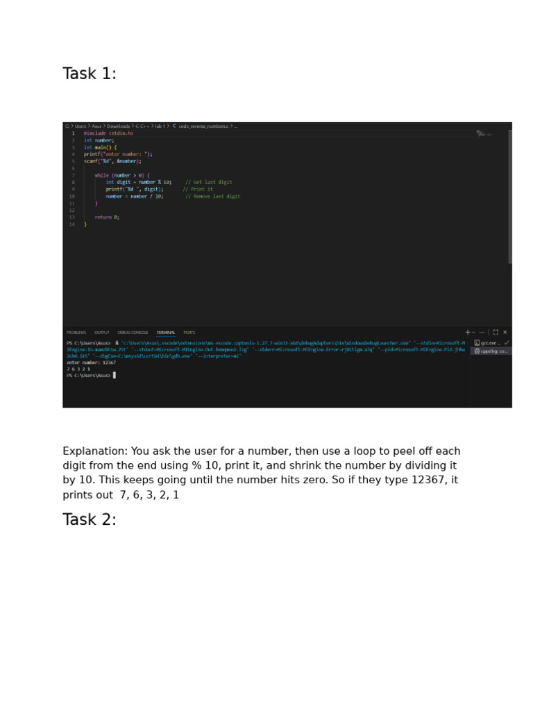 Python Programming Tasks Explained | PDF