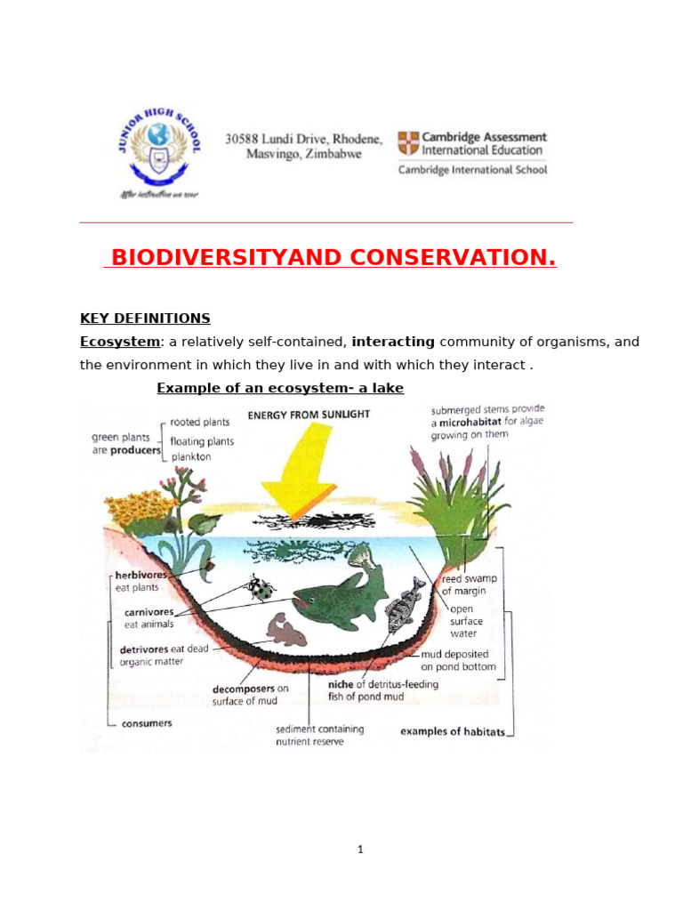 Biodiversity and Ecosystem Concepts Explained | PDF | Biodiversity ...