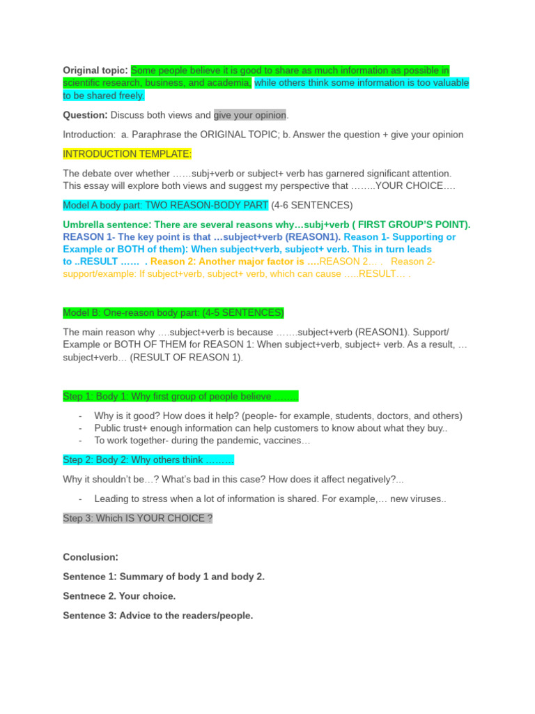 Essay | PDF