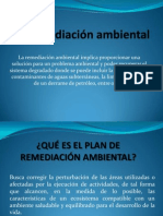 Remediación Ambiental