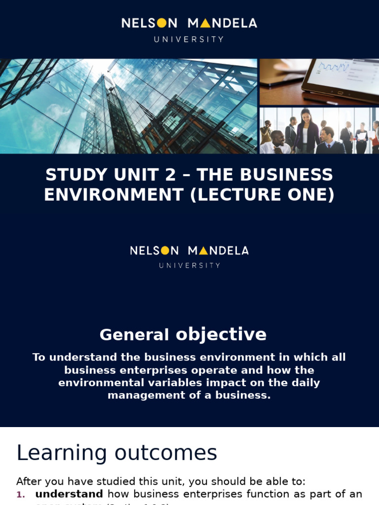 Understanding the Business Environment | PDF | Cognition | Business