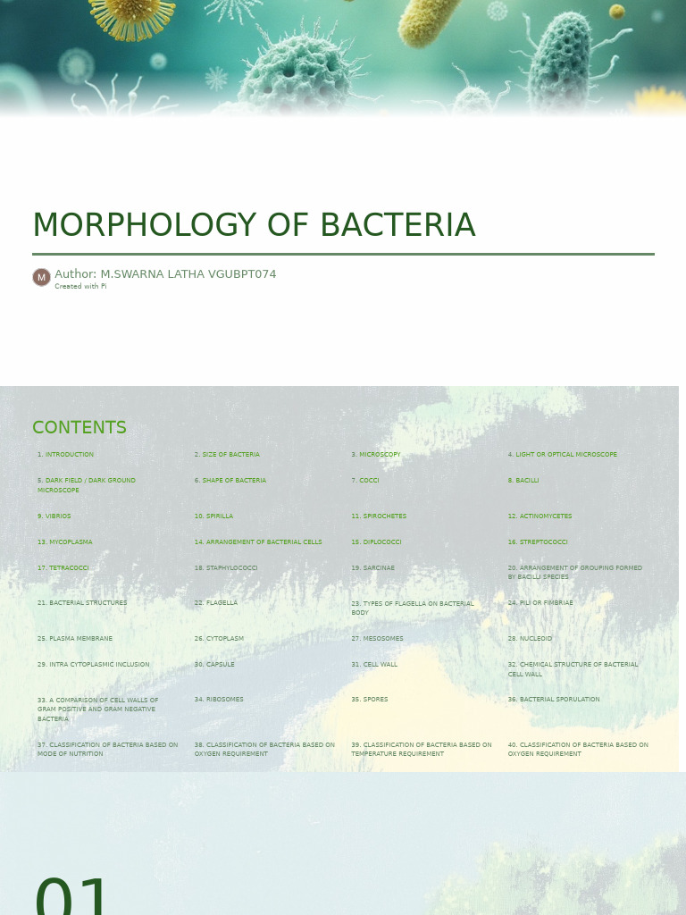 Bacterial Morphology Overview | PDF | Bacteria | Microscope