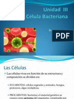 Unidad II La Celula Bacteriana