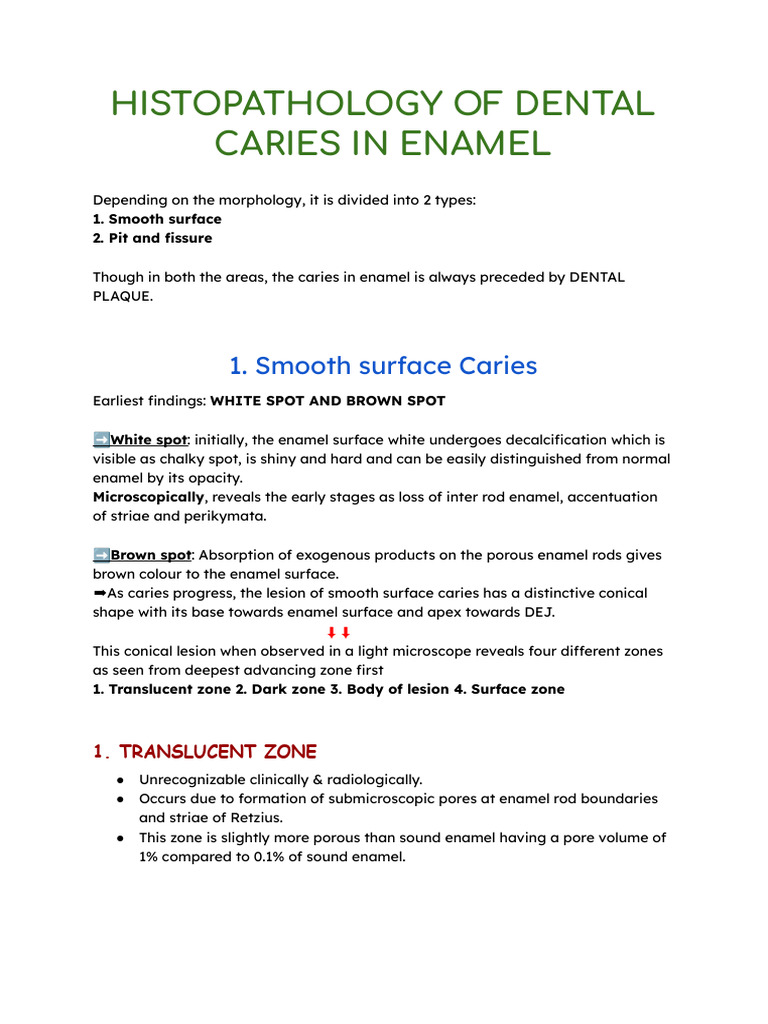Histopathology of Dental Caries | PDF | Dentin | Tooth Enamel