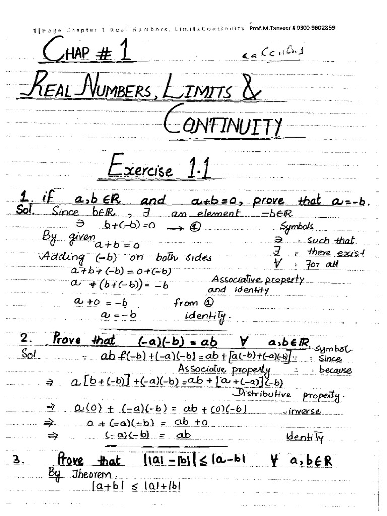 Chap 01 Ex 1 1 Calculus Prof M Tanveer | PDF