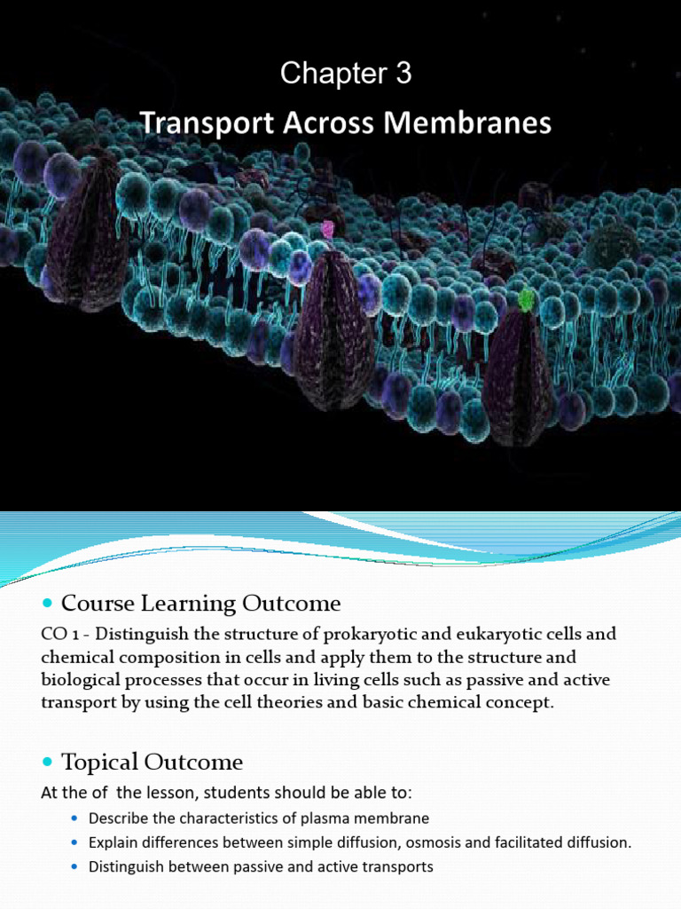 Cell Transport Mechanisms Explained | PDF | Osmosis | Cell Membrane