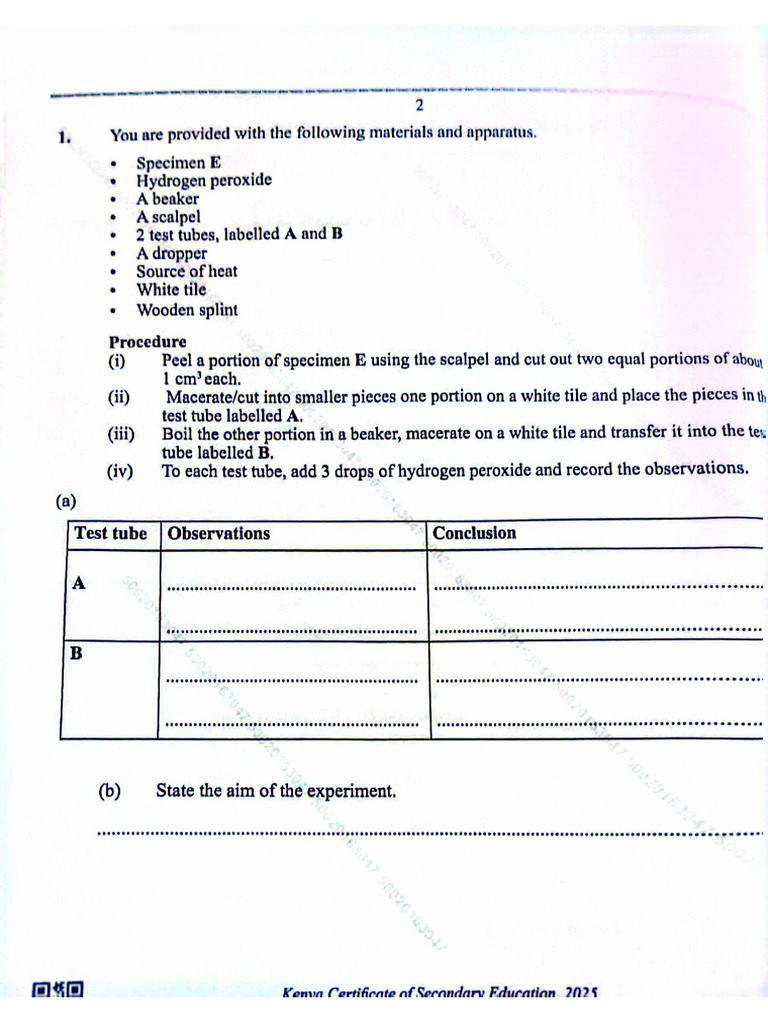 Dichlorophenol Indophenol X 3. | PDF