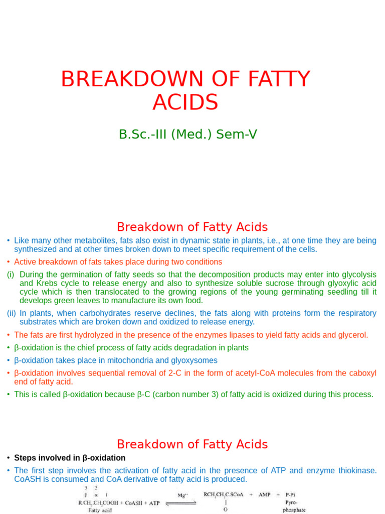 Beta Oxidation of Fatty Acids | PDF | Chemistry | Cell Biology