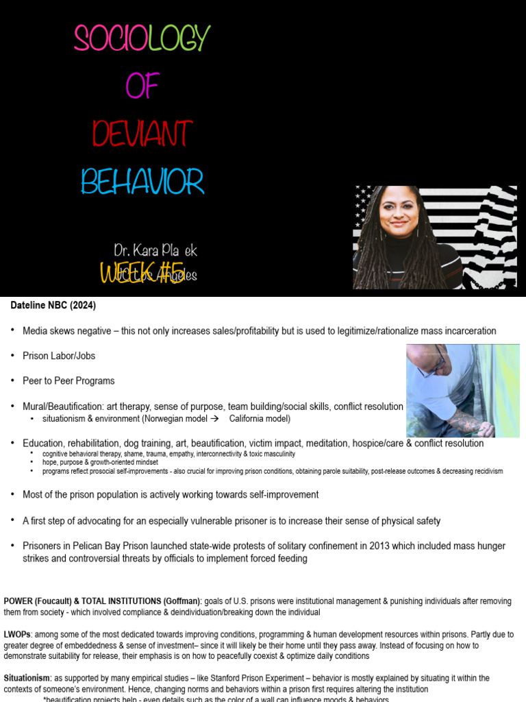 Sociology of Deviant Behavior: Prison Reform | PDF | Restorative ...