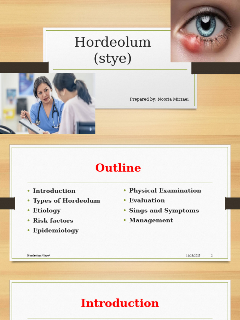 Understanding Hordeolum (Stye) Causes & Treatment | PDF | Diseases And ...