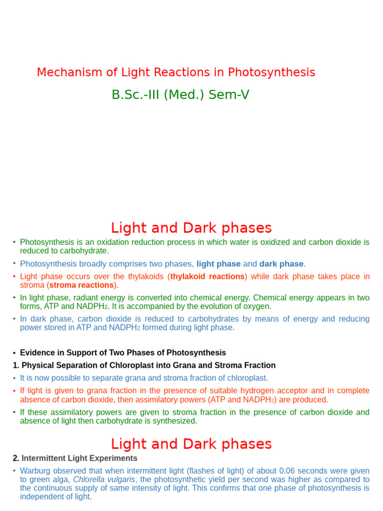 Photosynthesis Light Reaction Mechanism | PDF | Photosynthesis ...