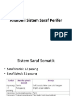 Anatomi Sistem Saraf Perifer