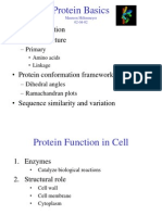 ProteinBasics MaureenHillenmeyer